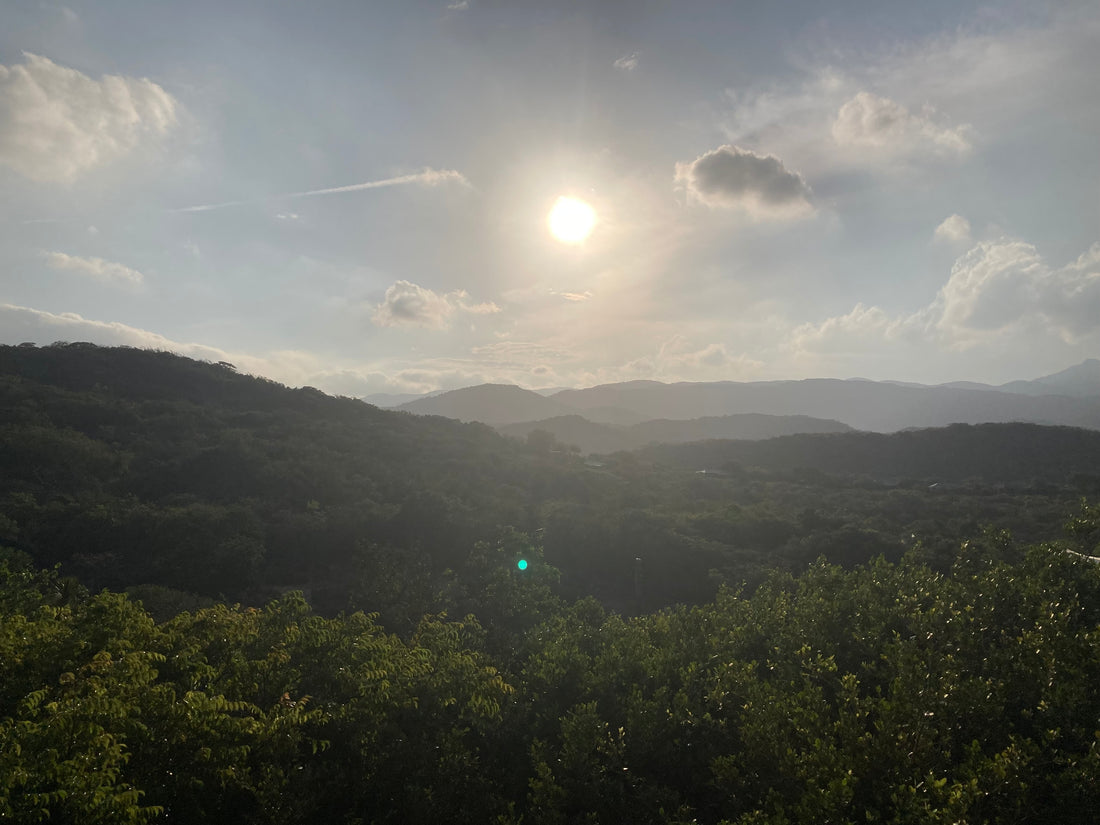 自然界には直線は存在しない