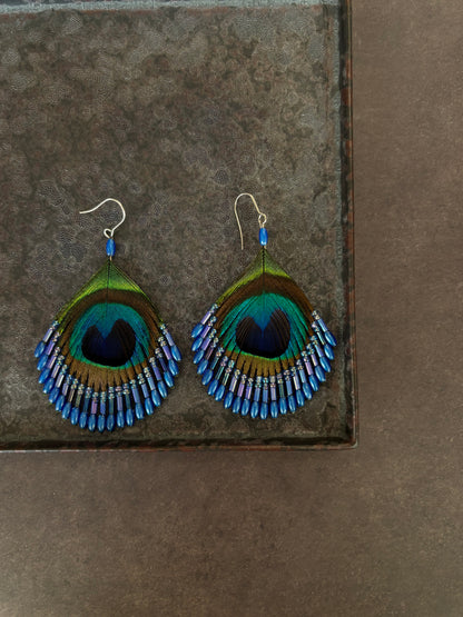 孔雀の羽ピアス ブルー