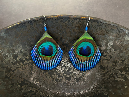 孔雀の羽ピアス ブルー