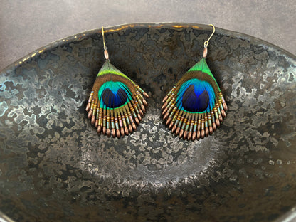 孔雀の羽ピアス ブラウン