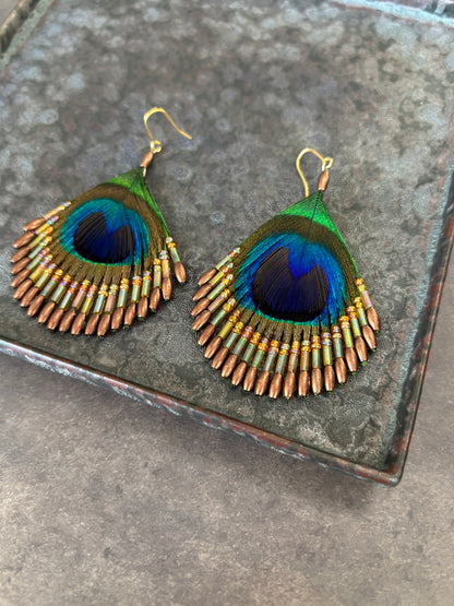 孔雀の羽ピアス ブラウン