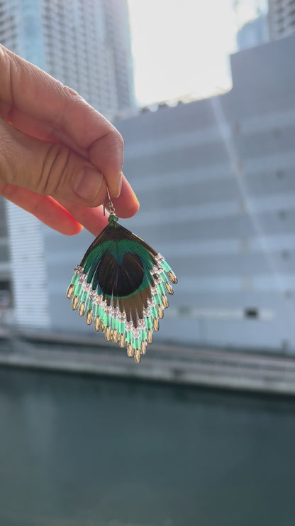 孔雀の羽ピアス 　シルバーブルー