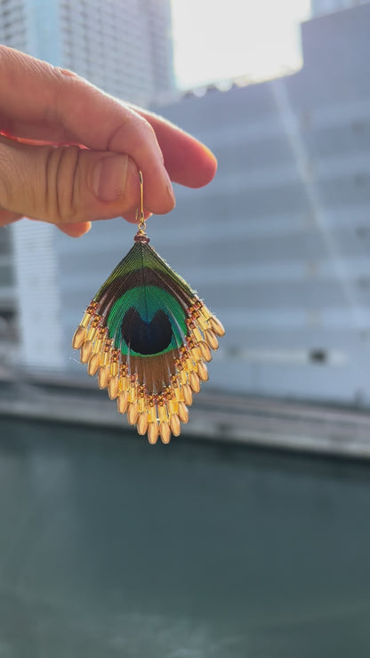 孔雀の羽ピアス 　マットゴールド