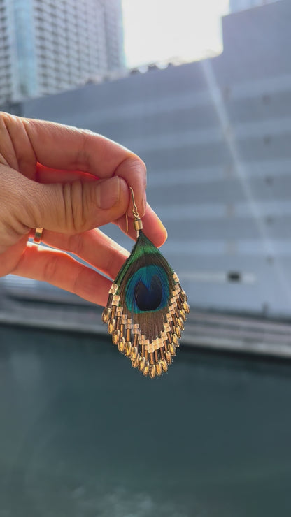 孔雀の羽ピアス 　ブラウンゴールド